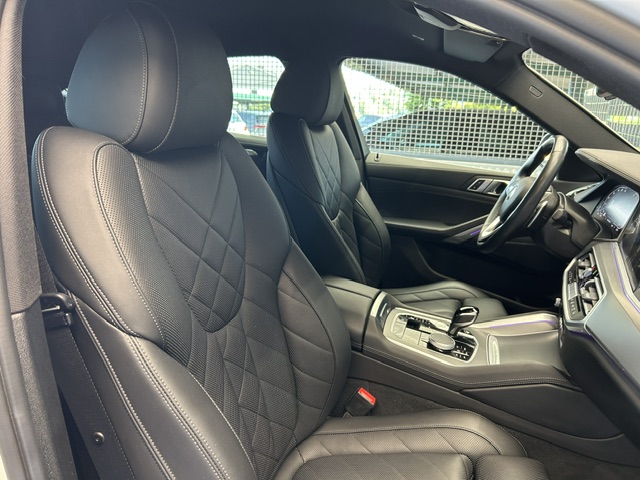 Bmw X6 xDrive30d foto 24