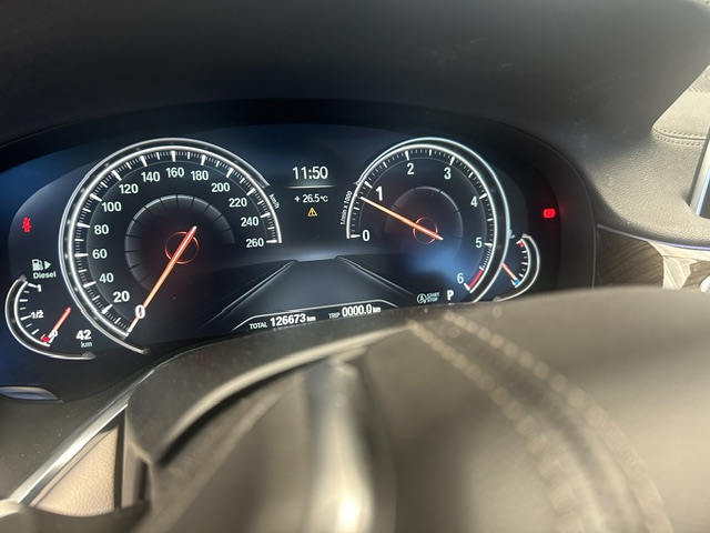 Bmw Serie 7 730LdA xDrive foto 15