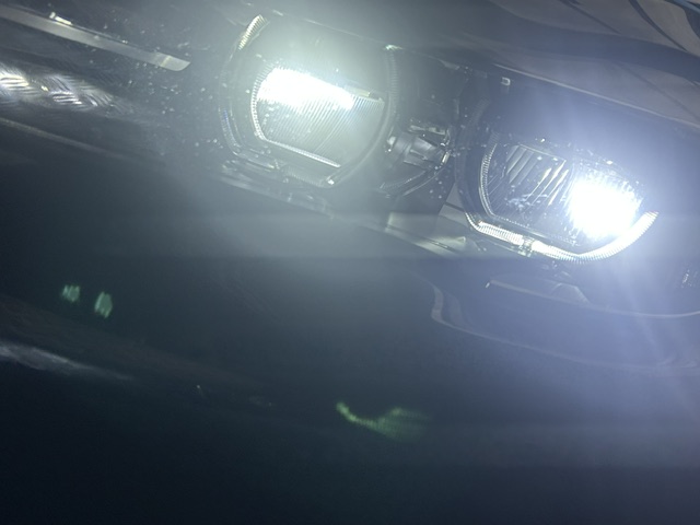 Bmw Serie 7 730LdA xDrive foto 30